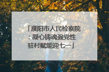 濮阳市人民检察院：凝心铸魂强党性 驻村赋能迎七一